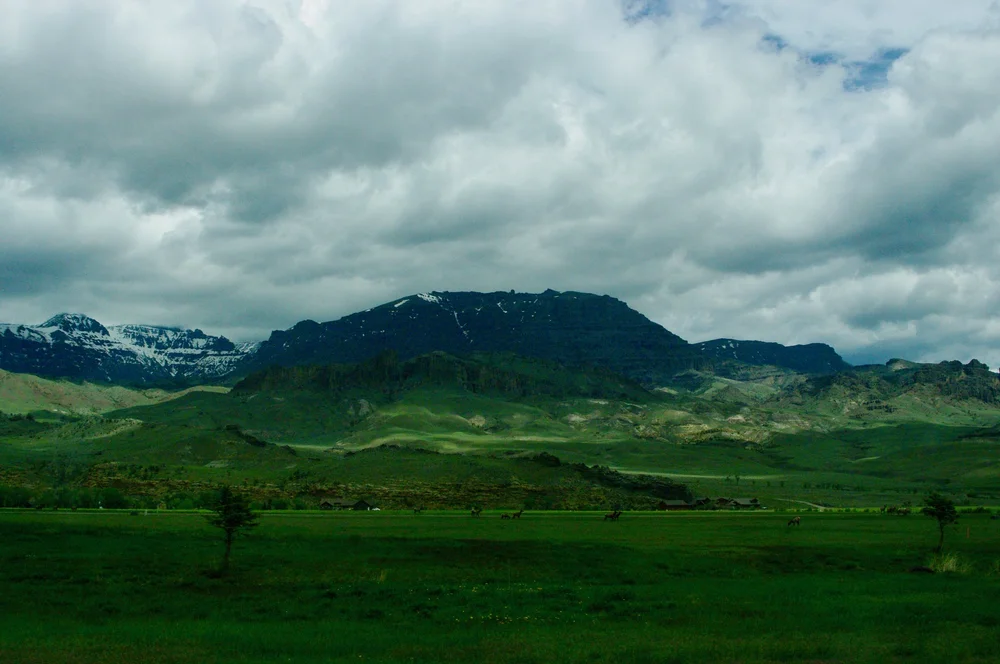 Driving into Yellowstone