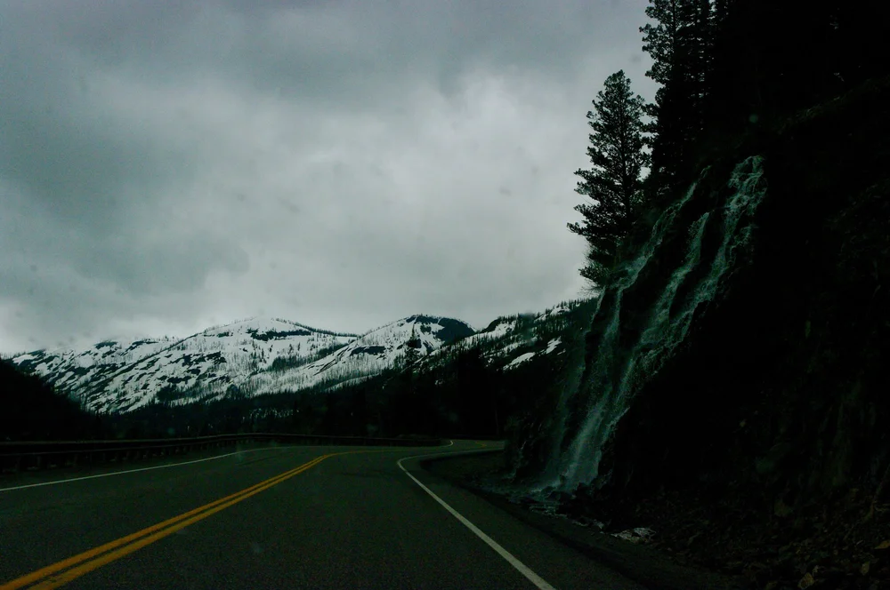 Driving into Yellowstone