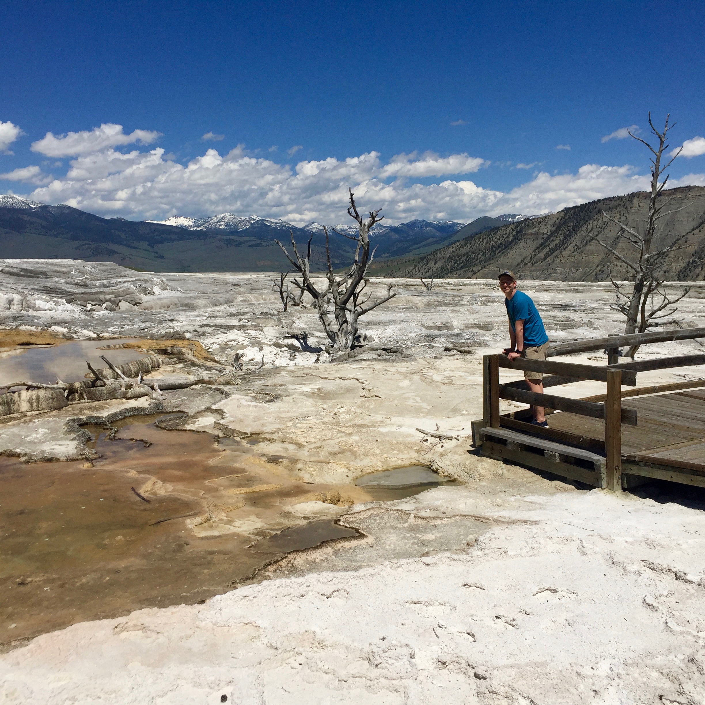 Ike at Mammoth Springs