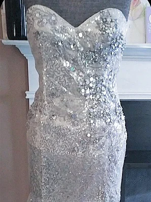 Silver Formal Gown