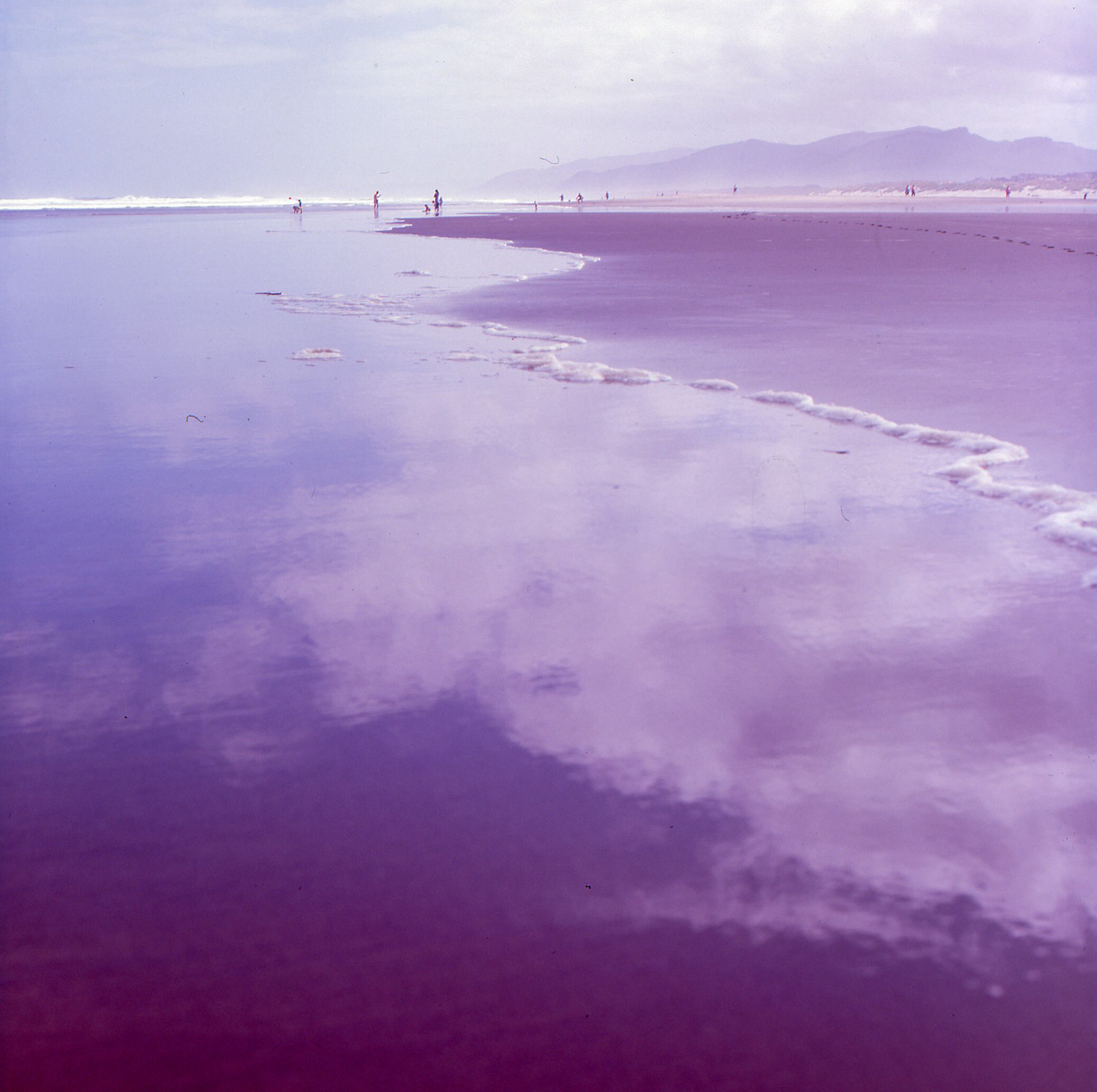 oregoncoast.jpg