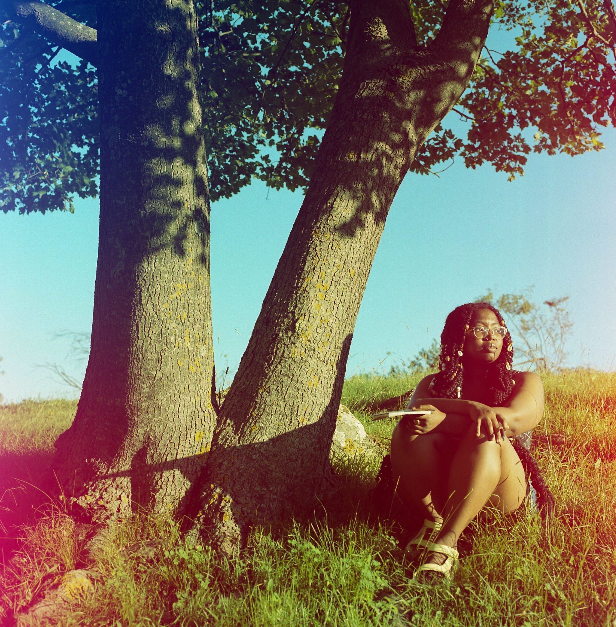 TreeShaina.jpg