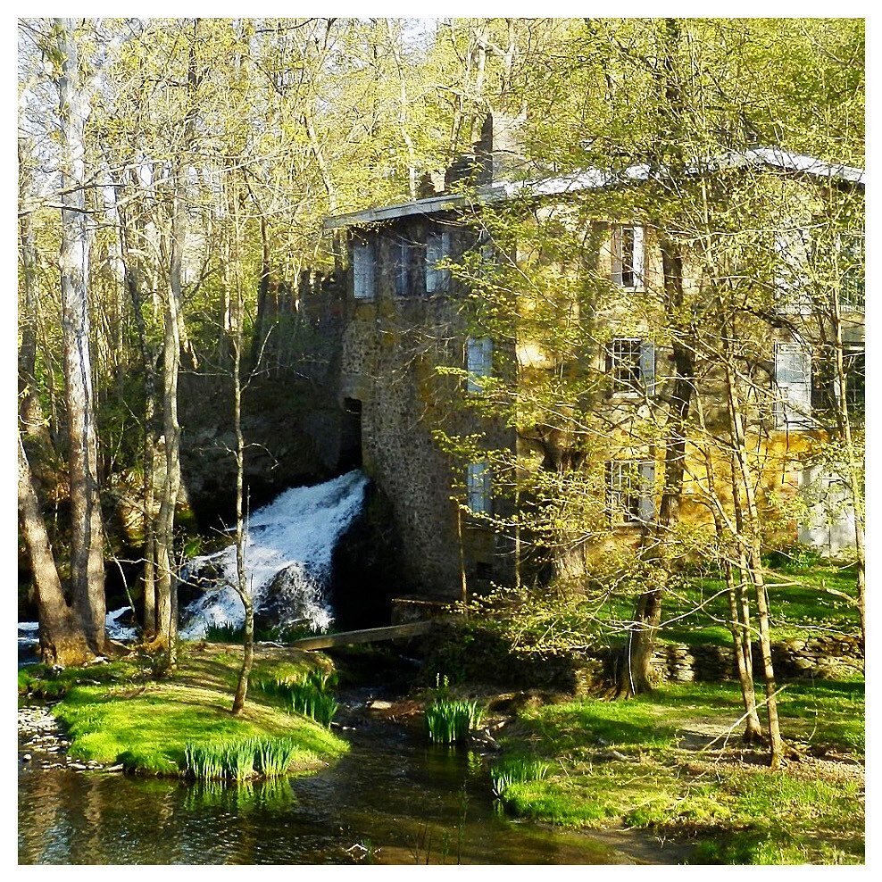 Dreaming of Summer? How about your own private waterfall?! Our newest vacation rental, The Salvato Mill, is a historic 18th century stone mill, transformed into a home in the 1960s. The mill is a mid century designer escape, totally immersed in natur