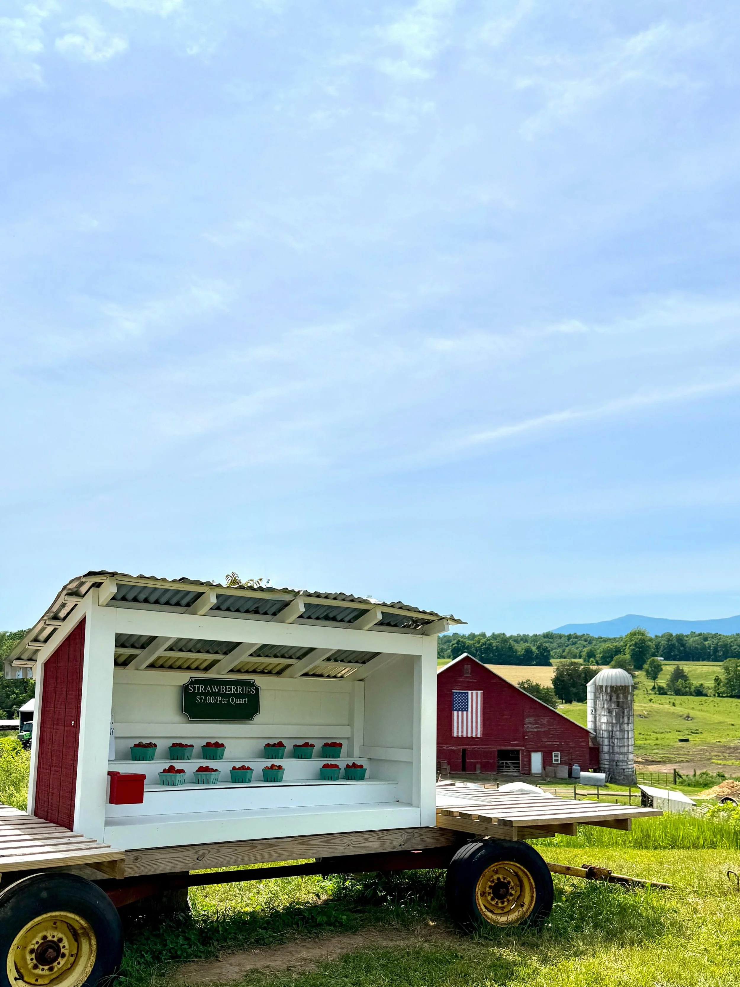 Summer is officially here! Strawberries = Summer 🍓☀️. I just discovered @bellemeadowfarmny yesterday and will be going back today.