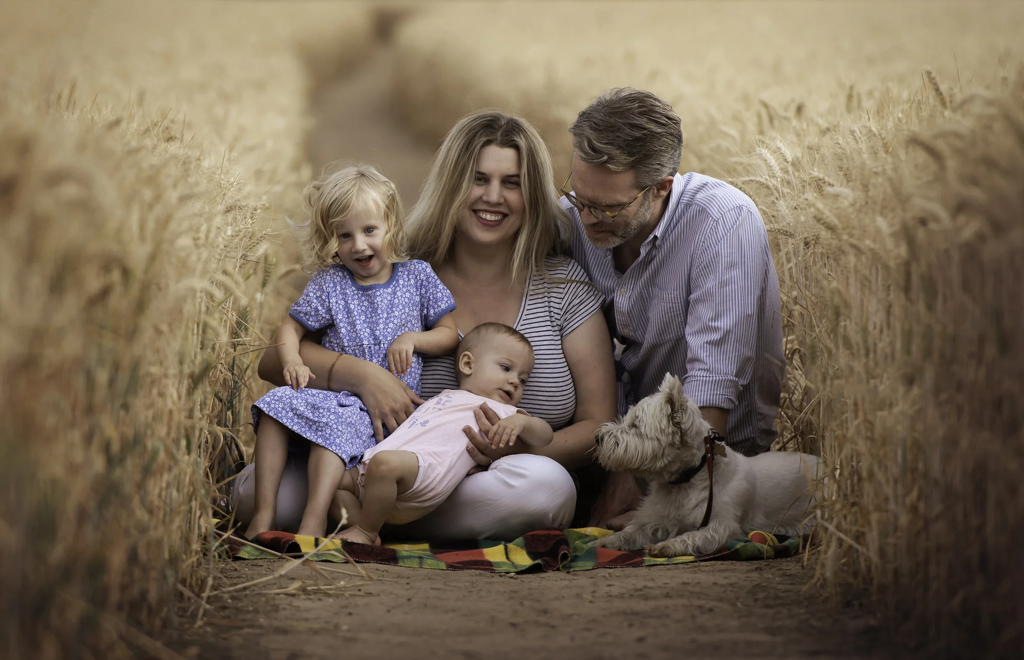 Family in corn field at sunset