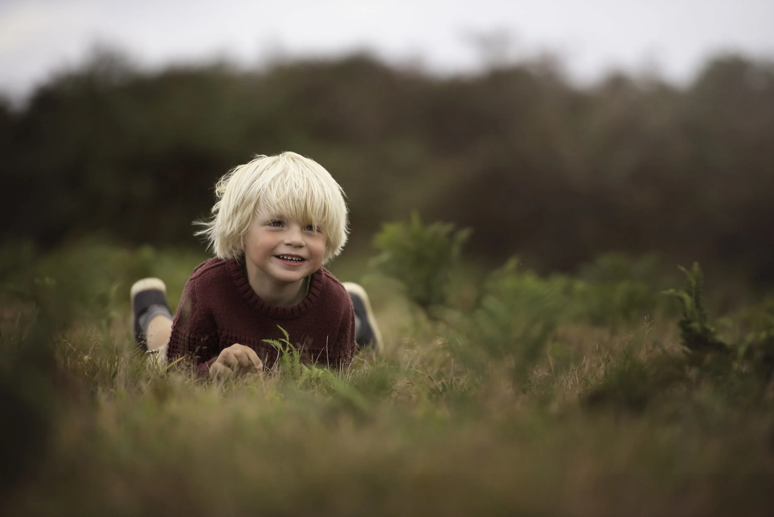 Boy in autumn bracken