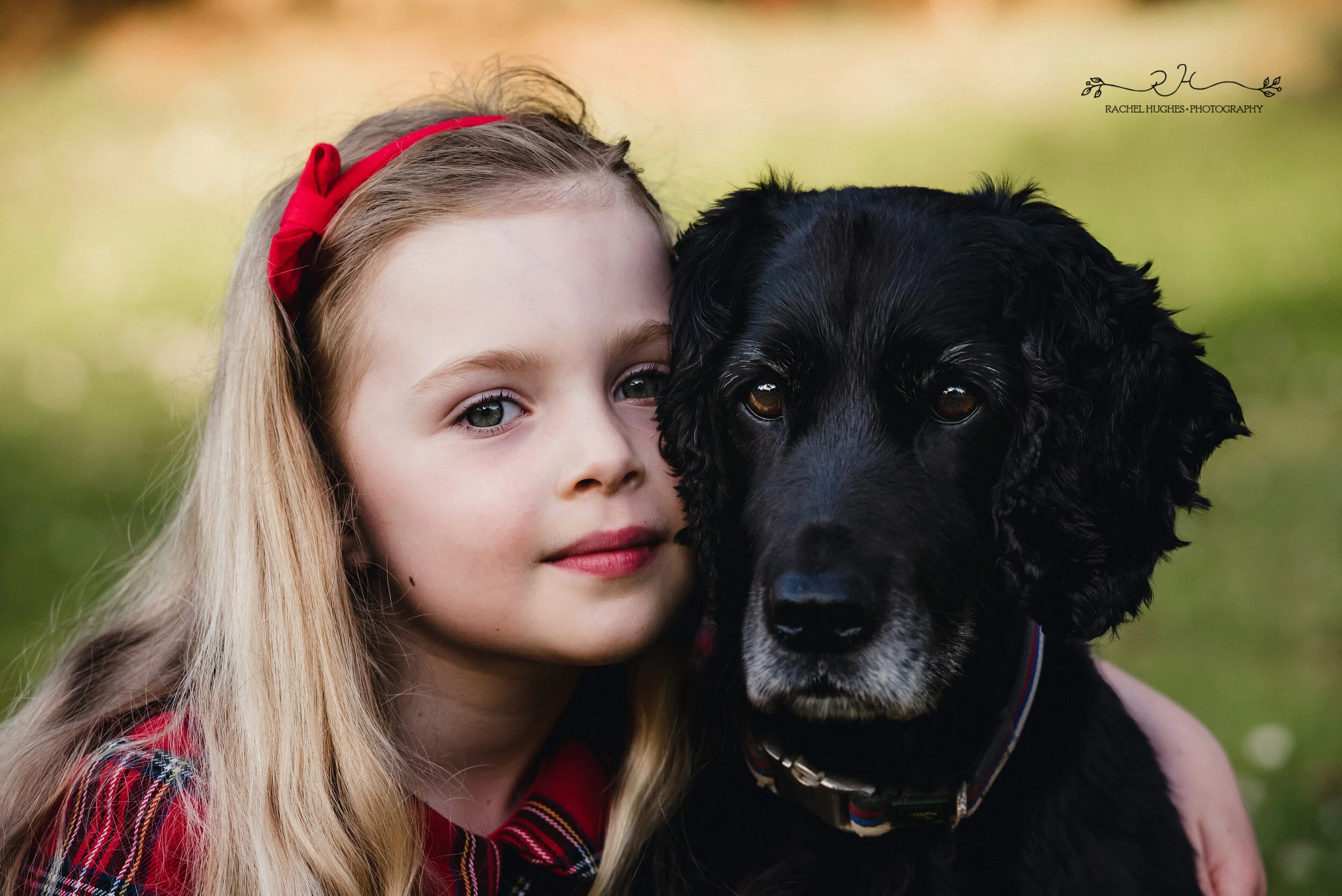 Jersey photographer - portrait of girl and black spaniel