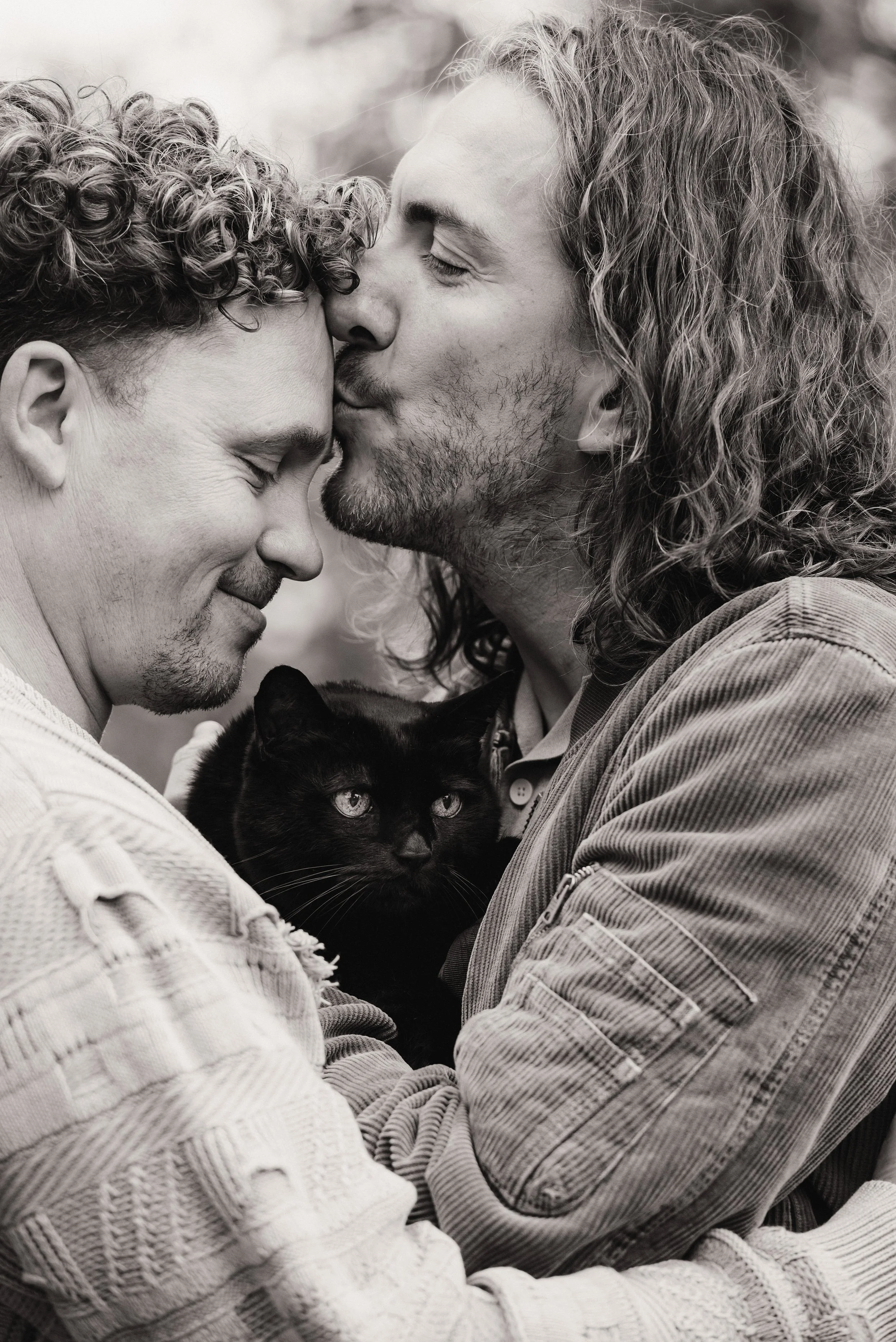 Jersey photographer: a cat photoshoot in St Helier