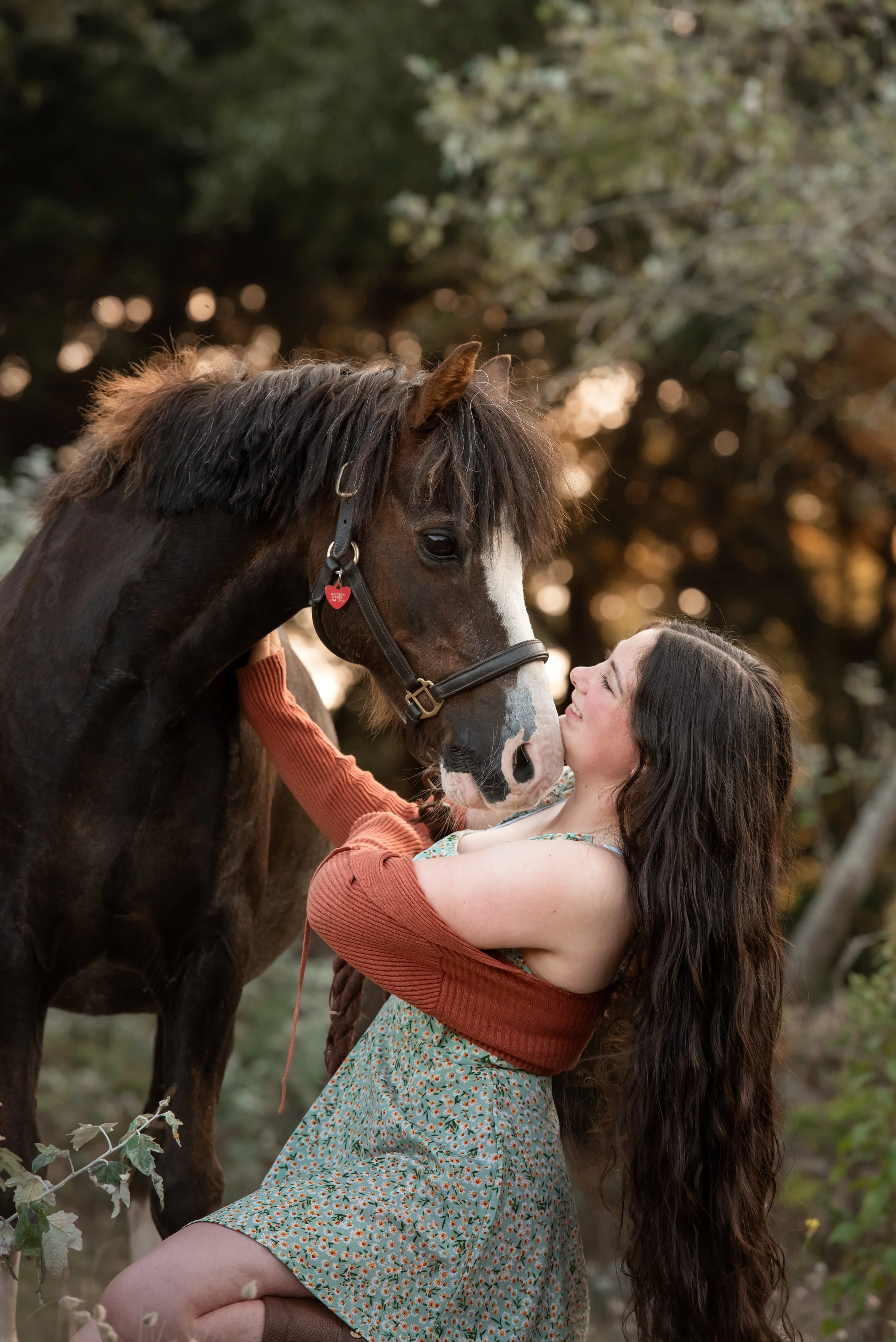 Jersey photographer: how to photograph a horse