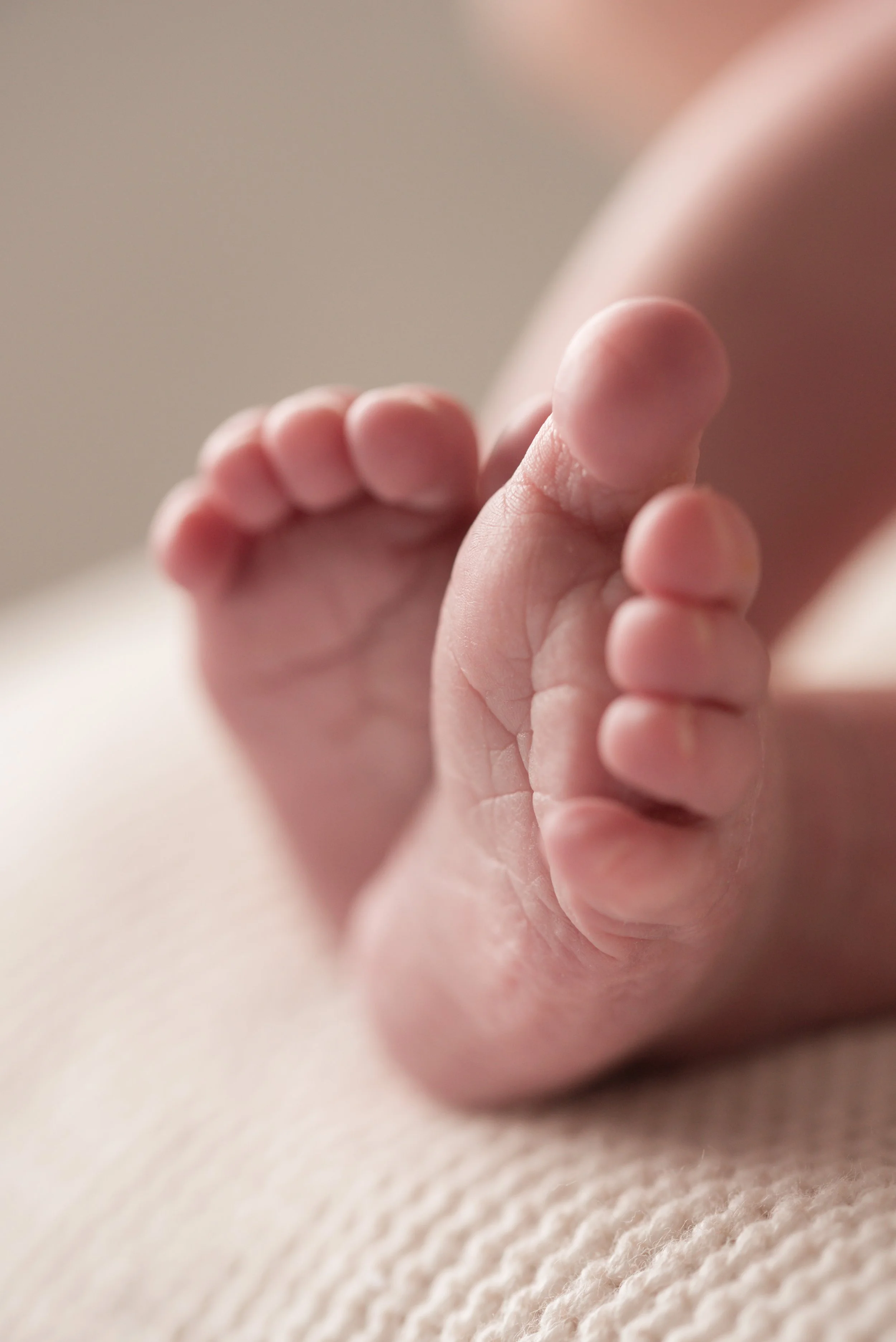 Jersey photographer - newborn feet