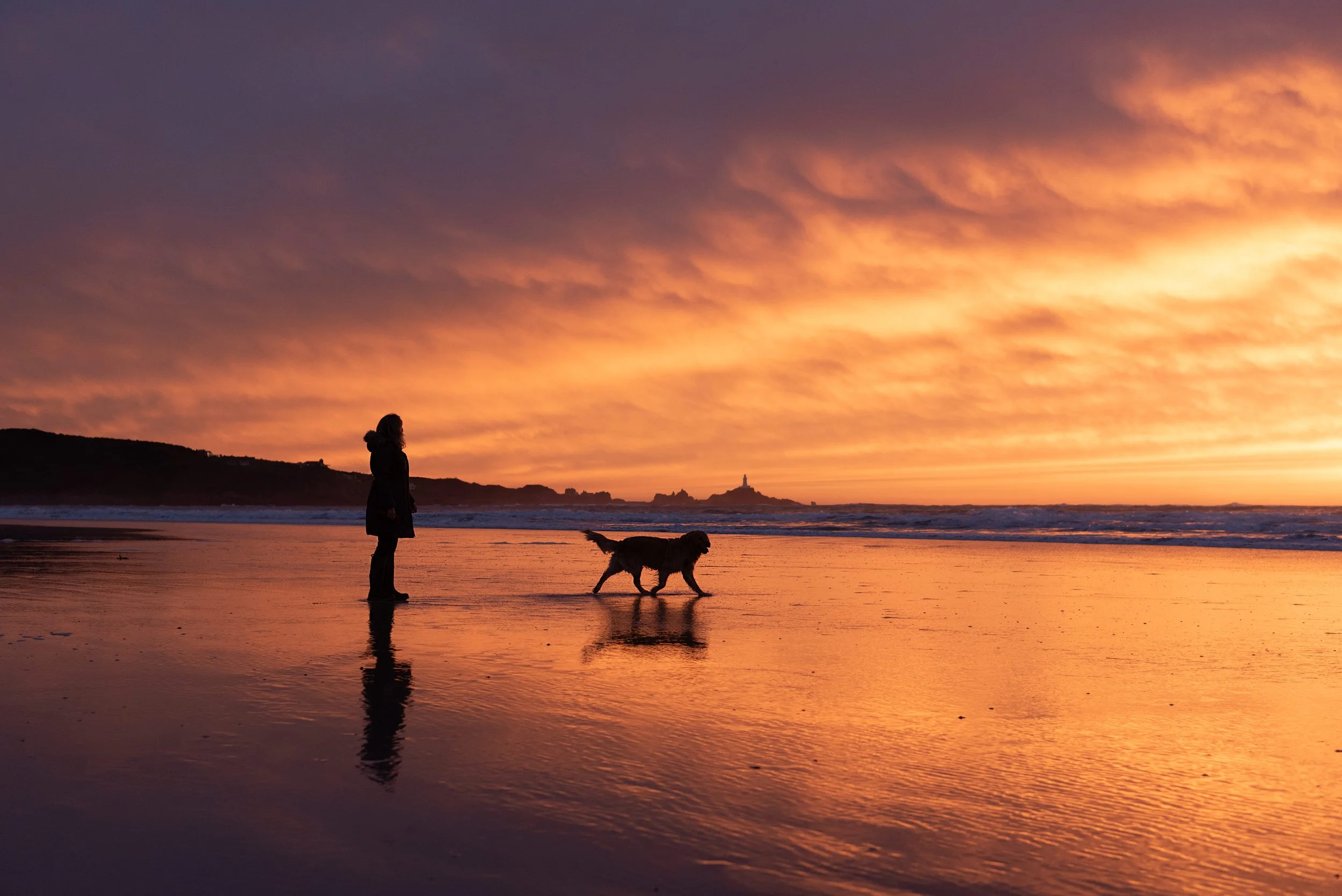 Jersey photographer - dog walking at sunset