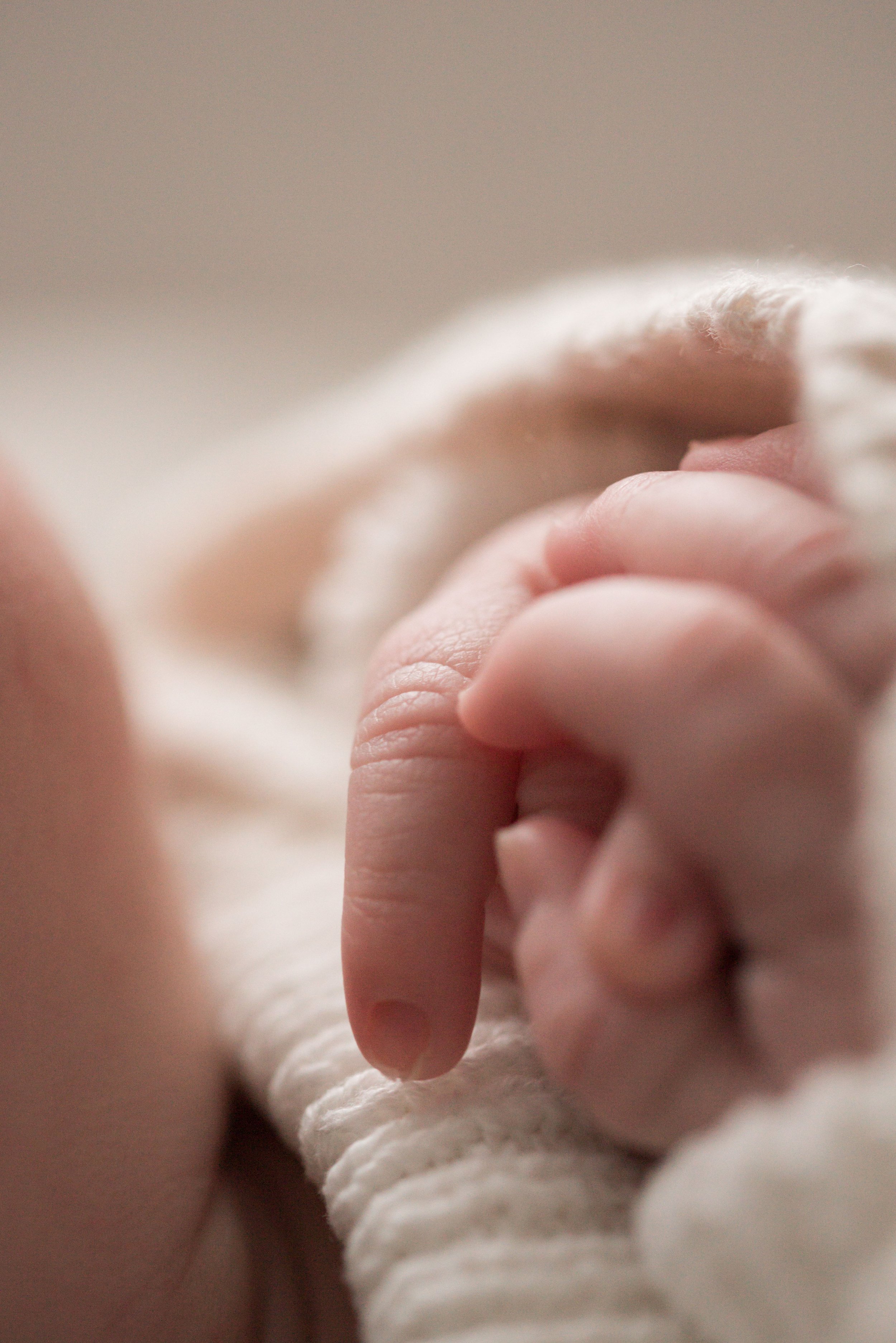 Jersey photographer - newborn hands detail photo