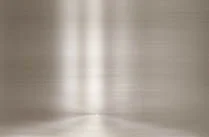 STAINLESS
