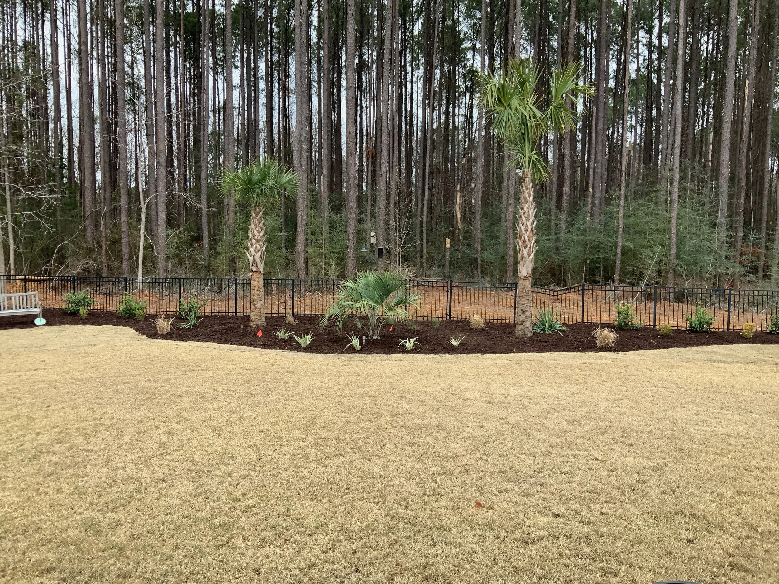 Landscape Bed Revitatlization (Mulch & Plant Material) After.jpeg