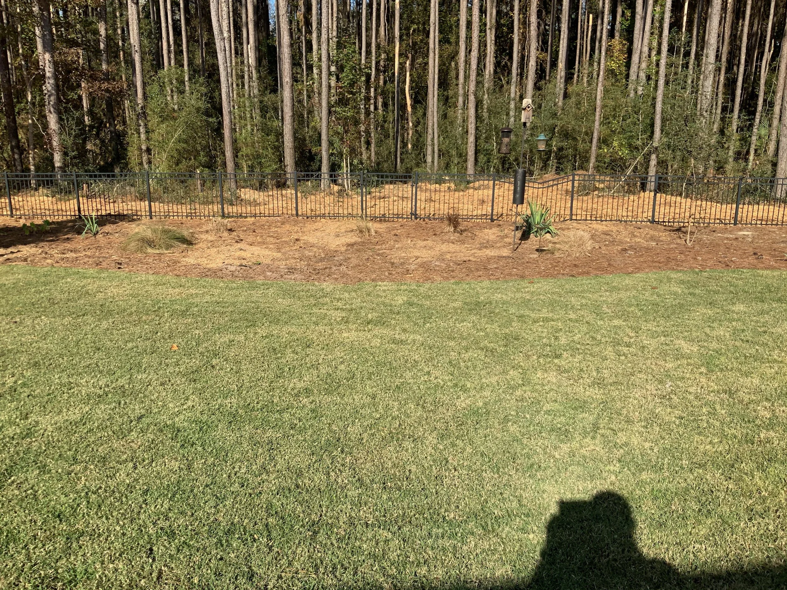 Landscape Bed Revitatlization (Mulch & Plant Material) Before.jpeg