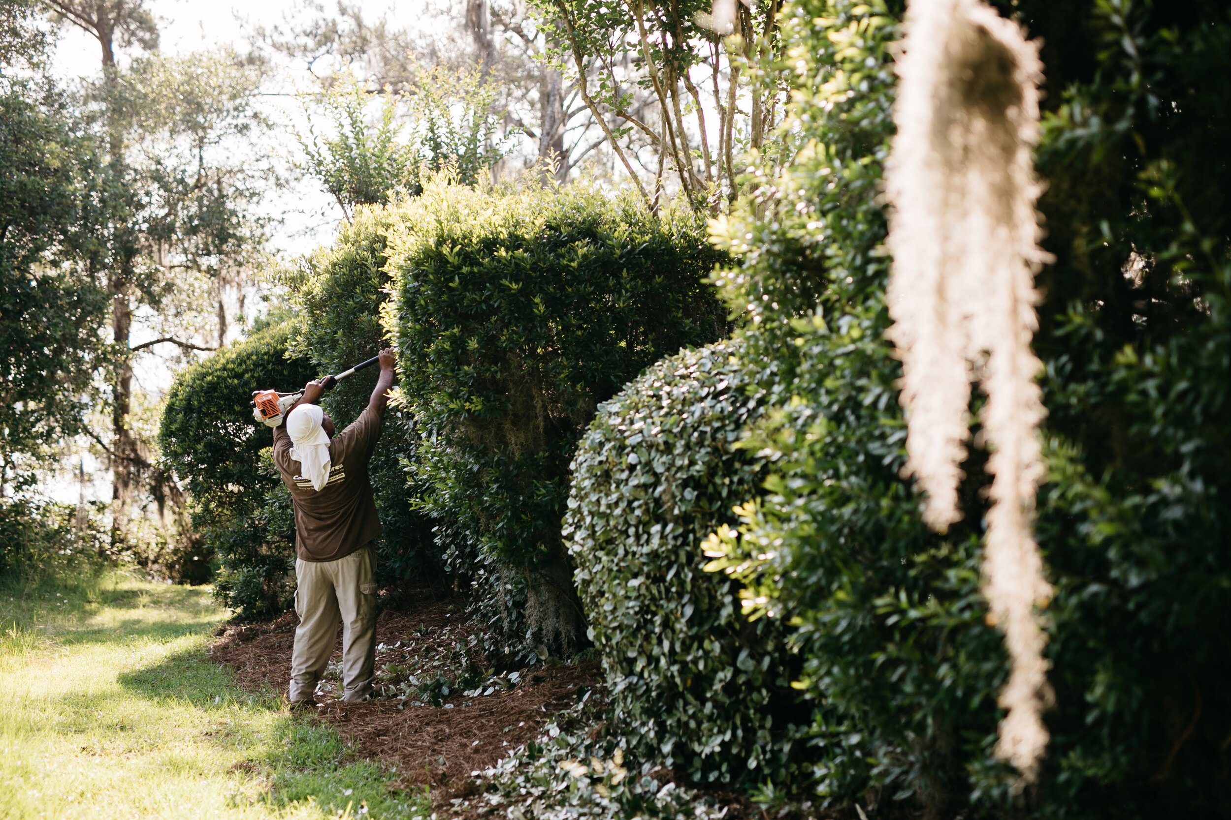 Seasonal Pruning &amp; Shaping