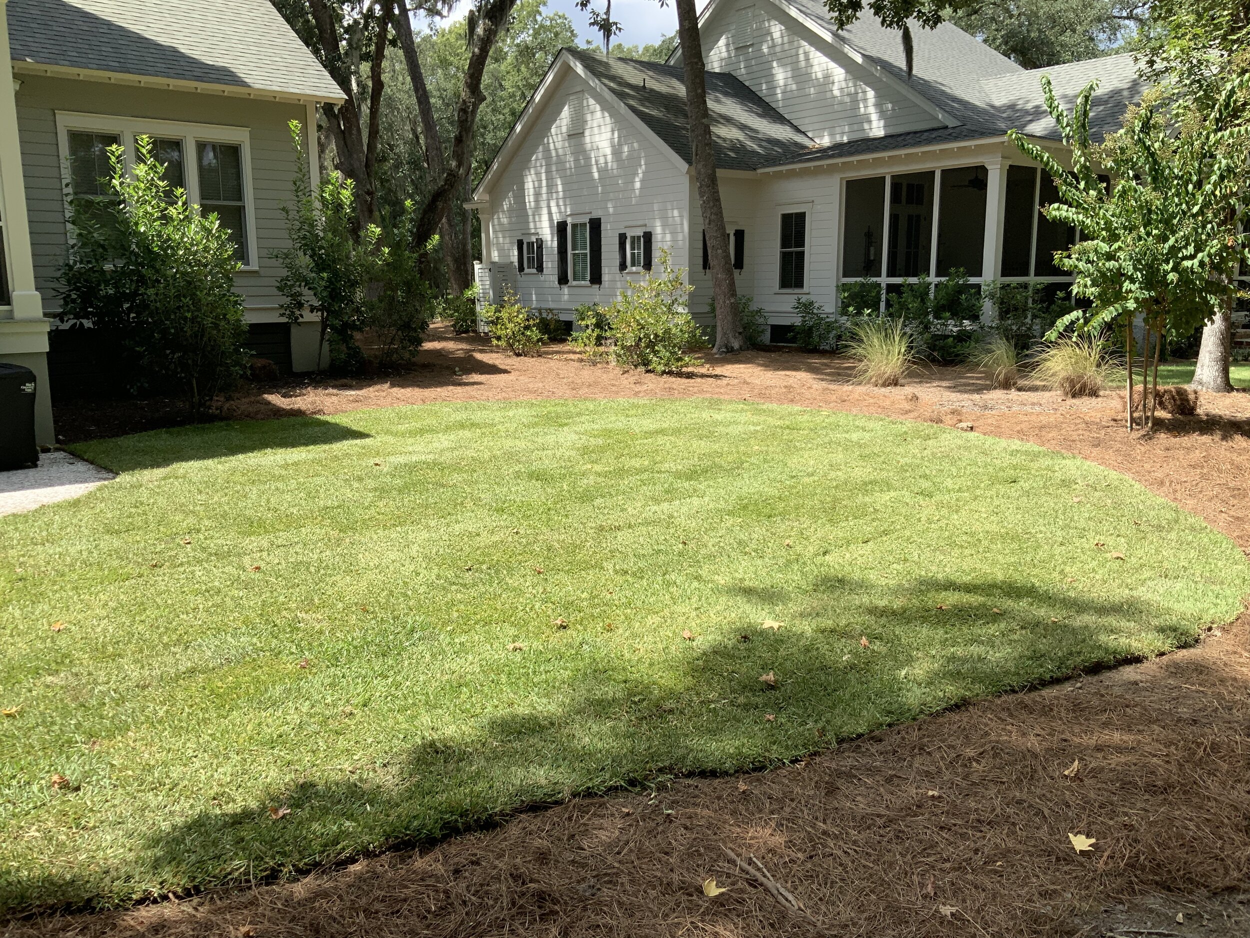 NEW SOD AFTER.jpeg