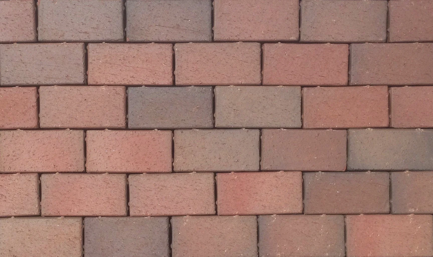 English Edge  Autumn