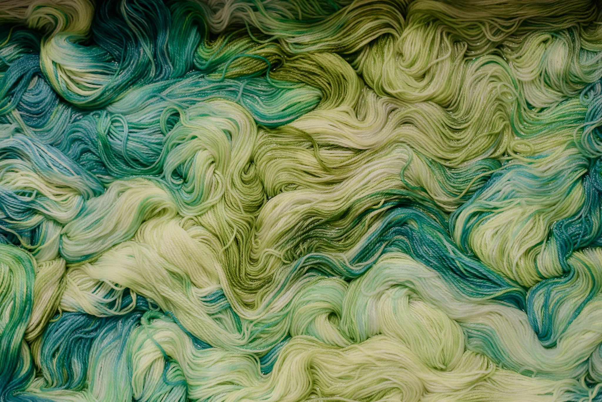 DSC_8920.jpg