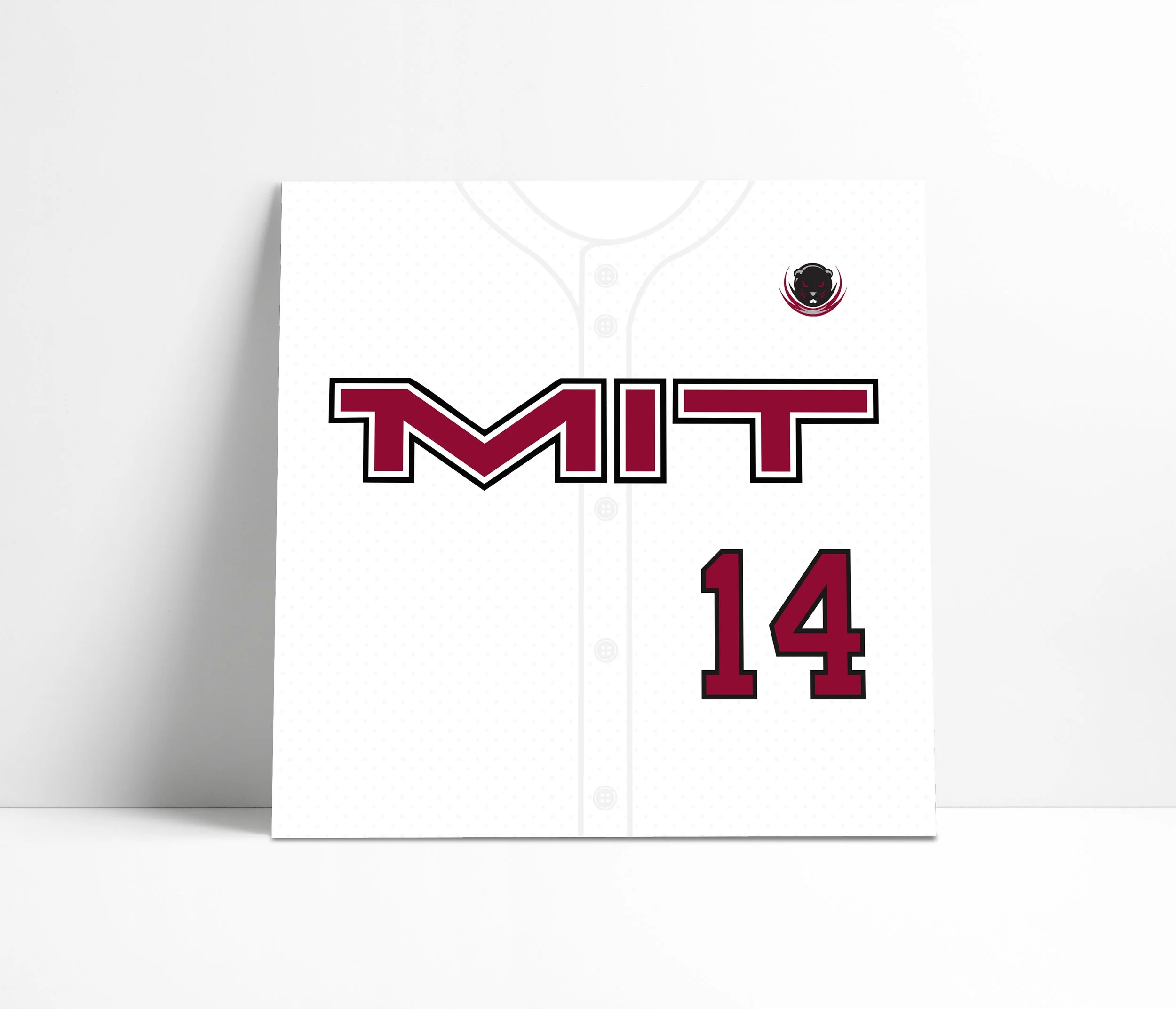 MIT.jpg