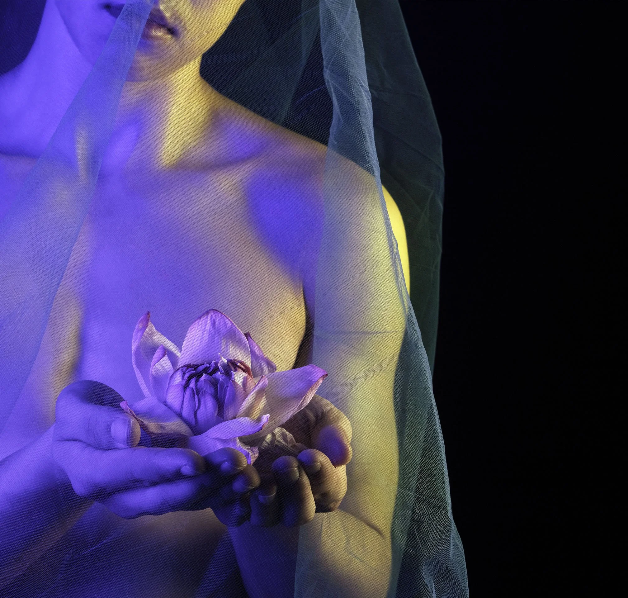 MIKAELA_GRAY_LOTUS FLOWER_PHOTOGRAPHIC_PRINT_2024.jpg