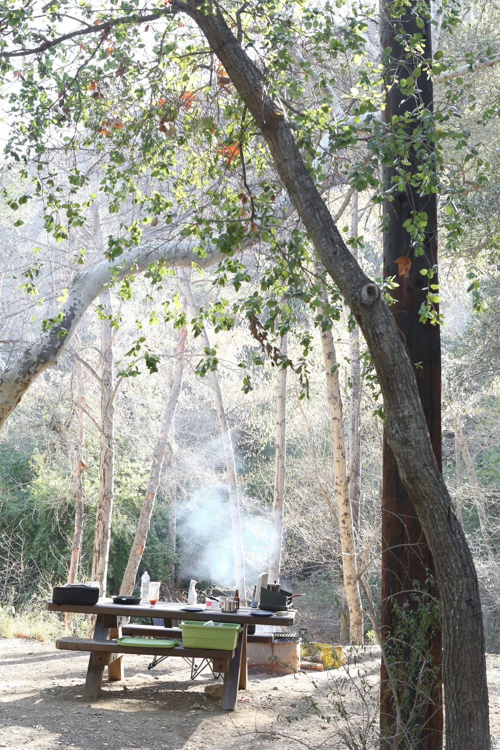 b4521-img.jpg