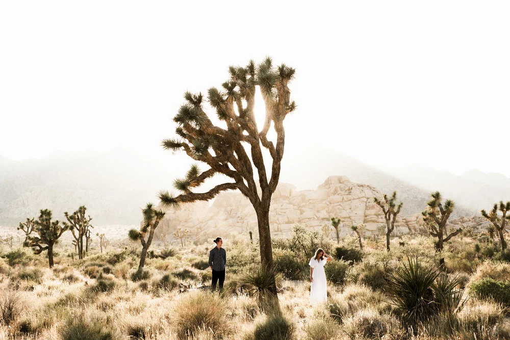 Joshua Tree Engagements // Alex &amp; Jen