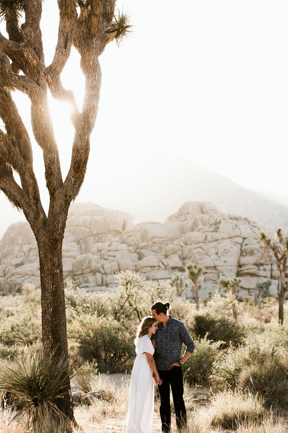 4b101-alexandjen_engagements215.jpg
