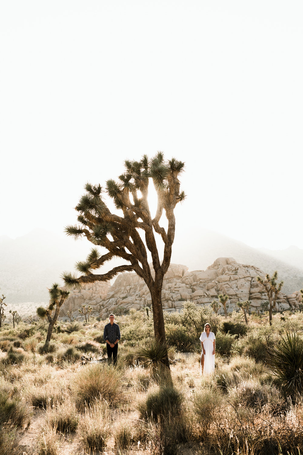 c8a5a-alexandjen_engagements193.jpg