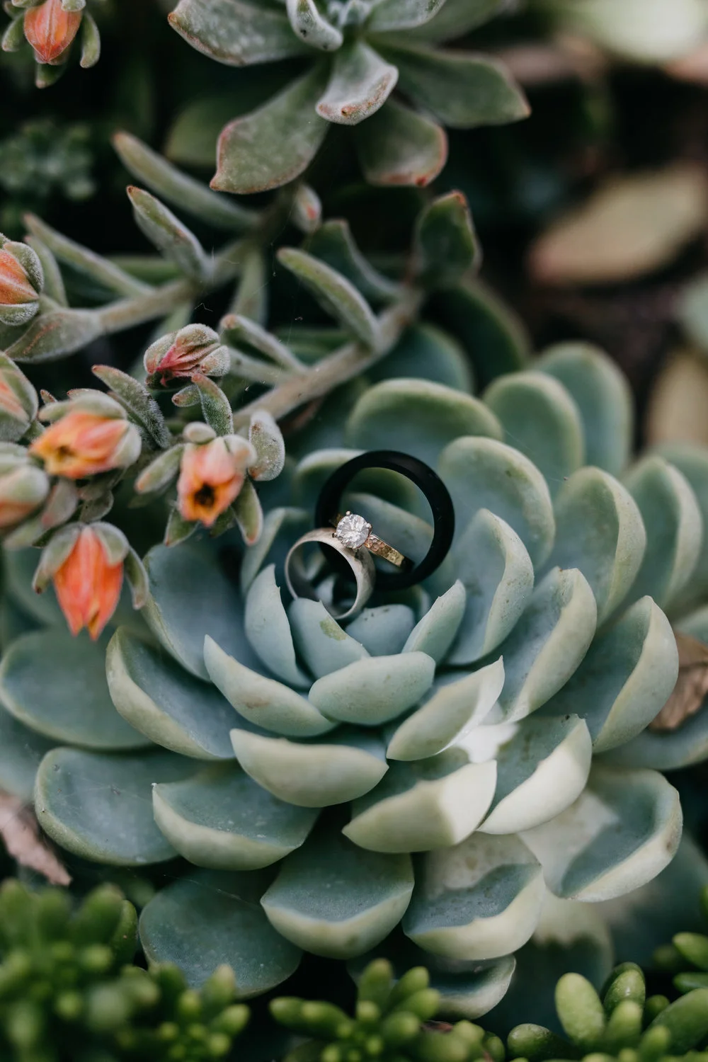 adc46-devlinwedding_gettingready42.jpg