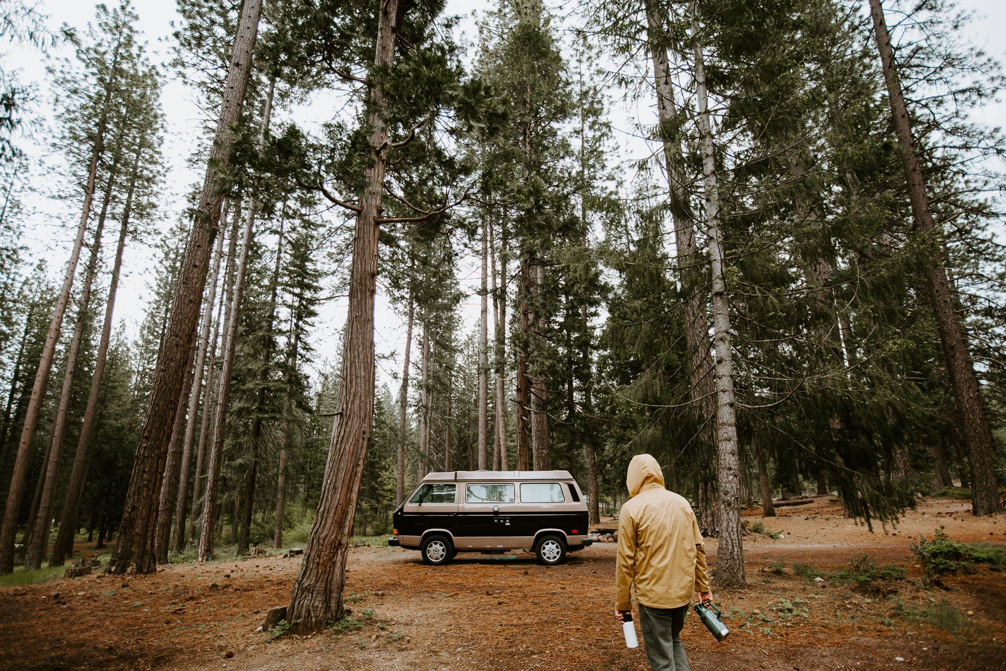 The Road: Oregon Edition