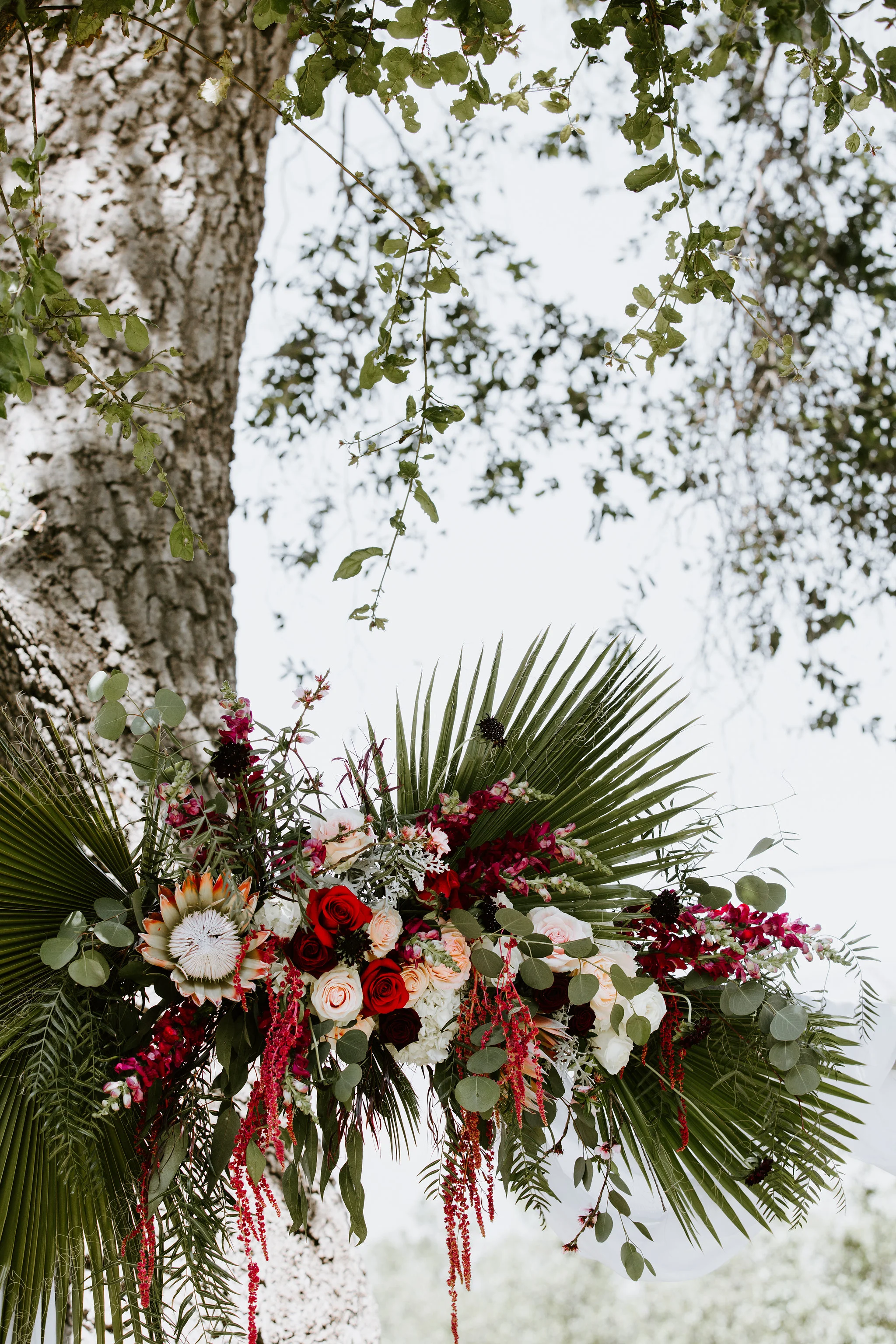 Kayla&Max_Ceremony5.jpg