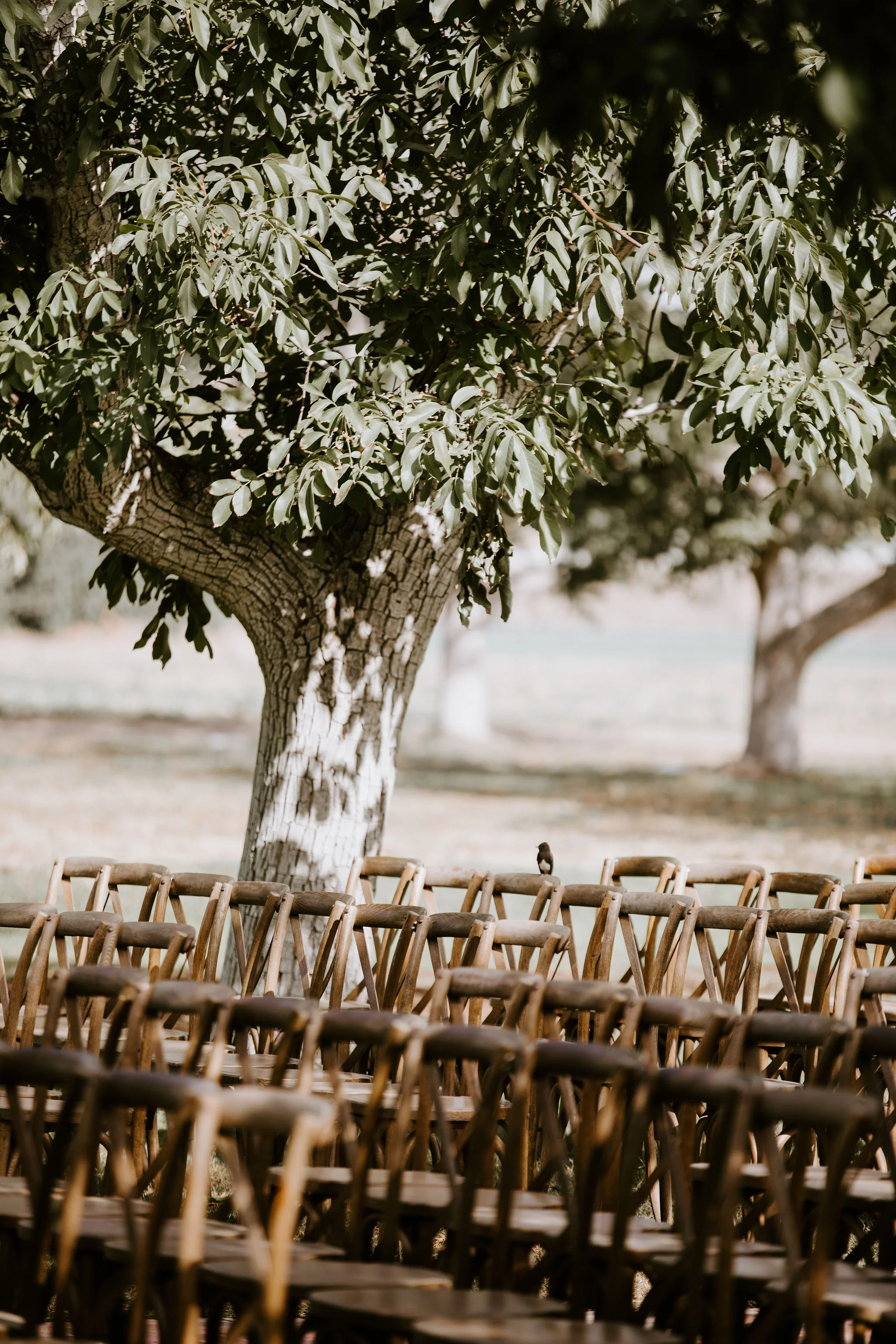 WalnutGroveWedding_Geoff&LyndsiPhotography_Casie&Matt_GettingReady4.jpg