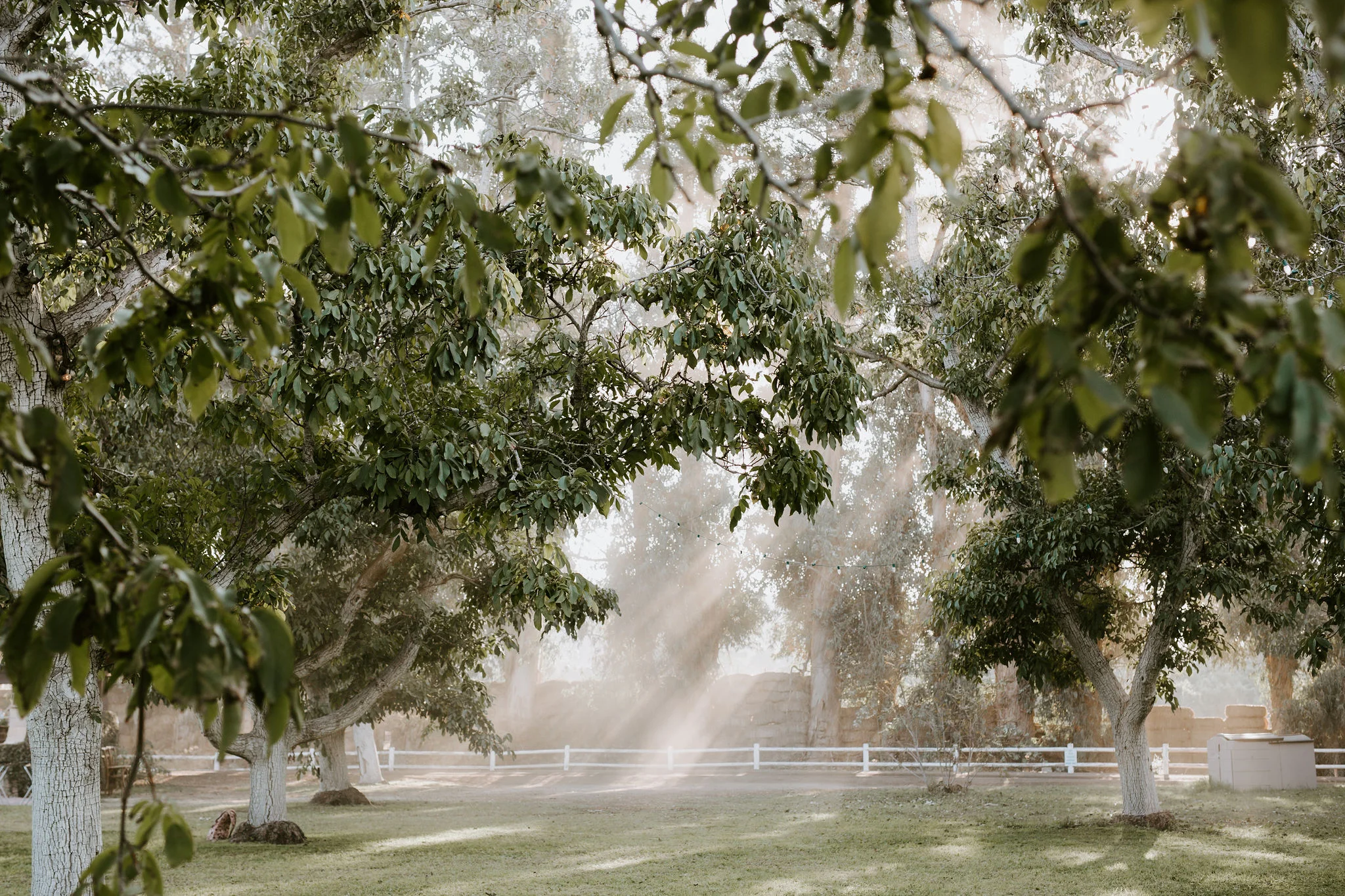 WalnutGroveWedding_Geoff&LyndsiPhotography_Casie&Matt_Ceremony32.jpg