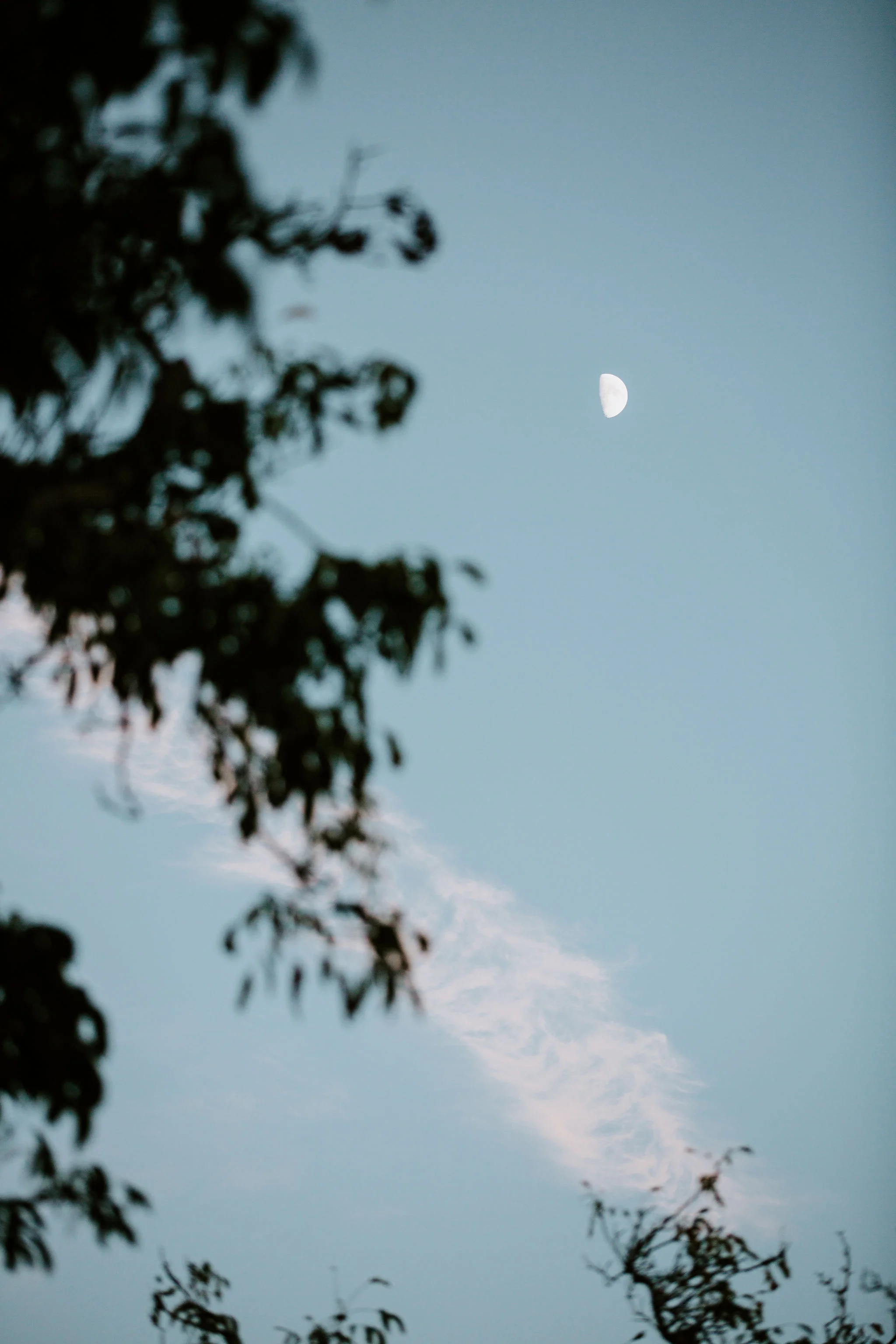 WalnutGroveWedding_Geoff&LyndsiPhotography_Casie&Matt_Reception1.jpg