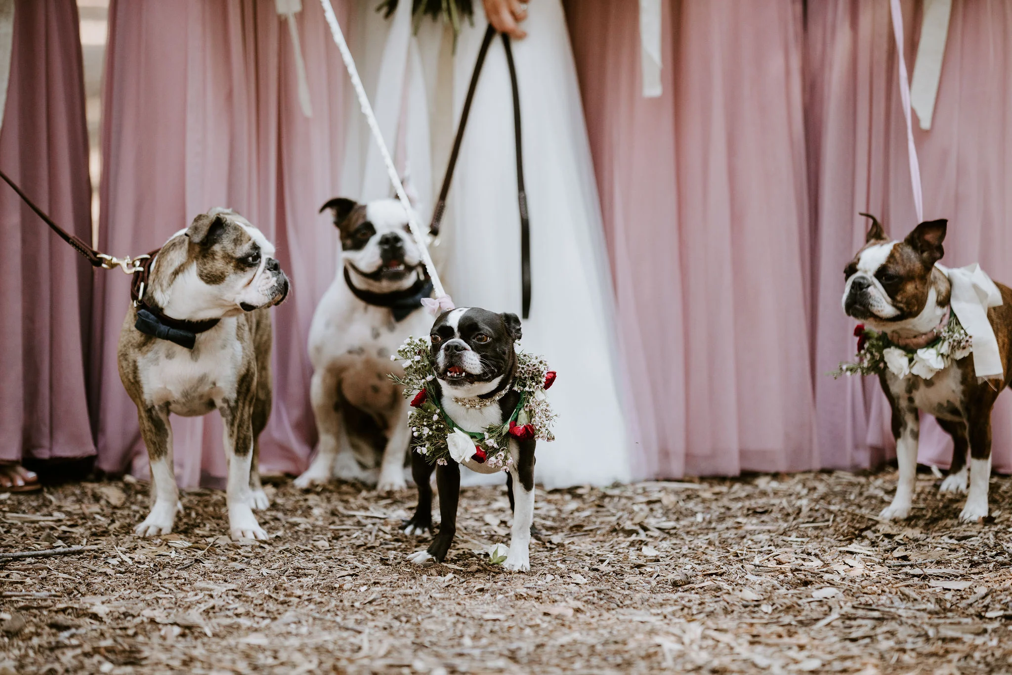SantaBarbaraMuseumofNaturalHistoryWedding_Geoff&LyndsiPhotography_Madi&Mike_Bridesmaids1.jpg