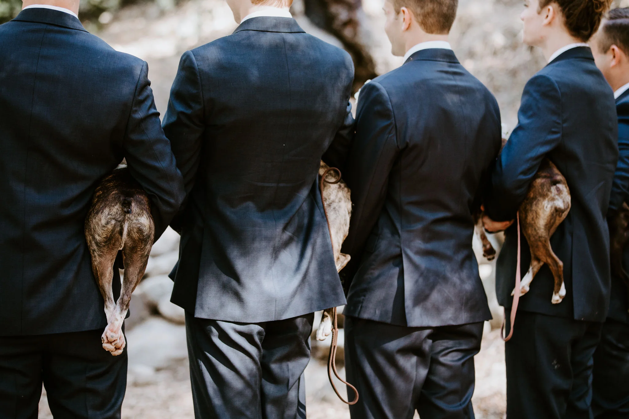 SantaBarbaraMuseumofNaturalHistoryWedding_Geoff&LyndsiPhotography_Madi&Mike_Groomsman15.jpg