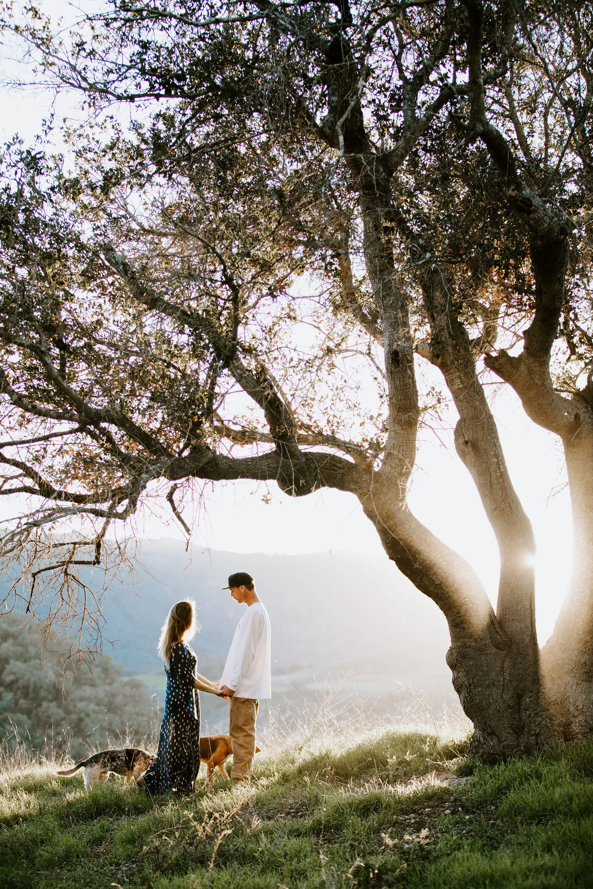 OjaiEngagementSession_Geoff&LyndsiPhotography_Eveline&Scotty75.jpg