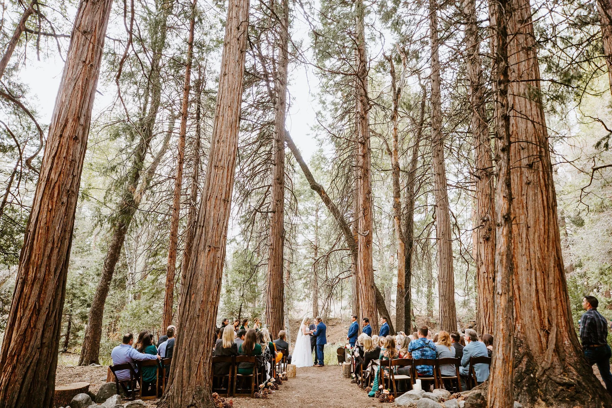 Angelus Oaks Wedding at Camp Wasewagan // Jeni &amp; Kris