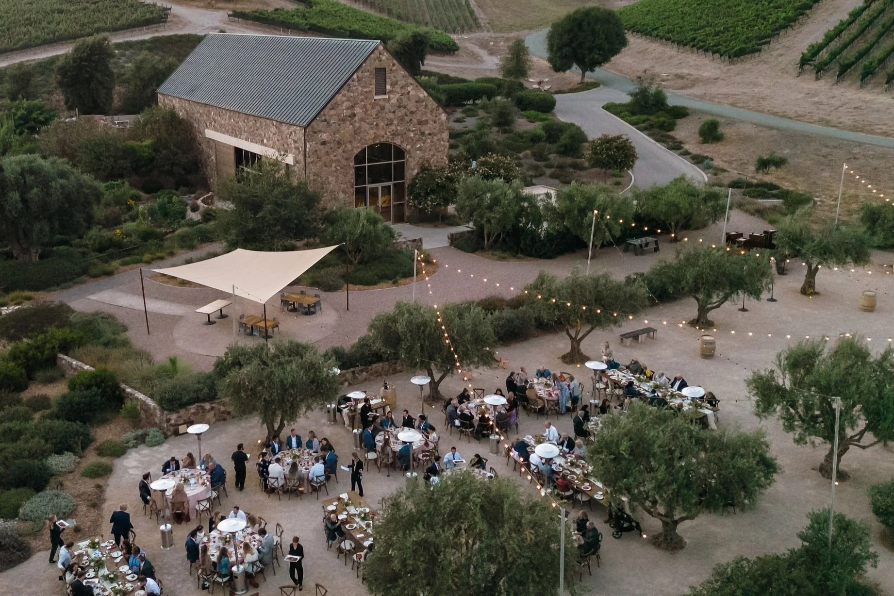 Niner Wine Estates Wedding in Paso Robles // Emily &amp; Jamie