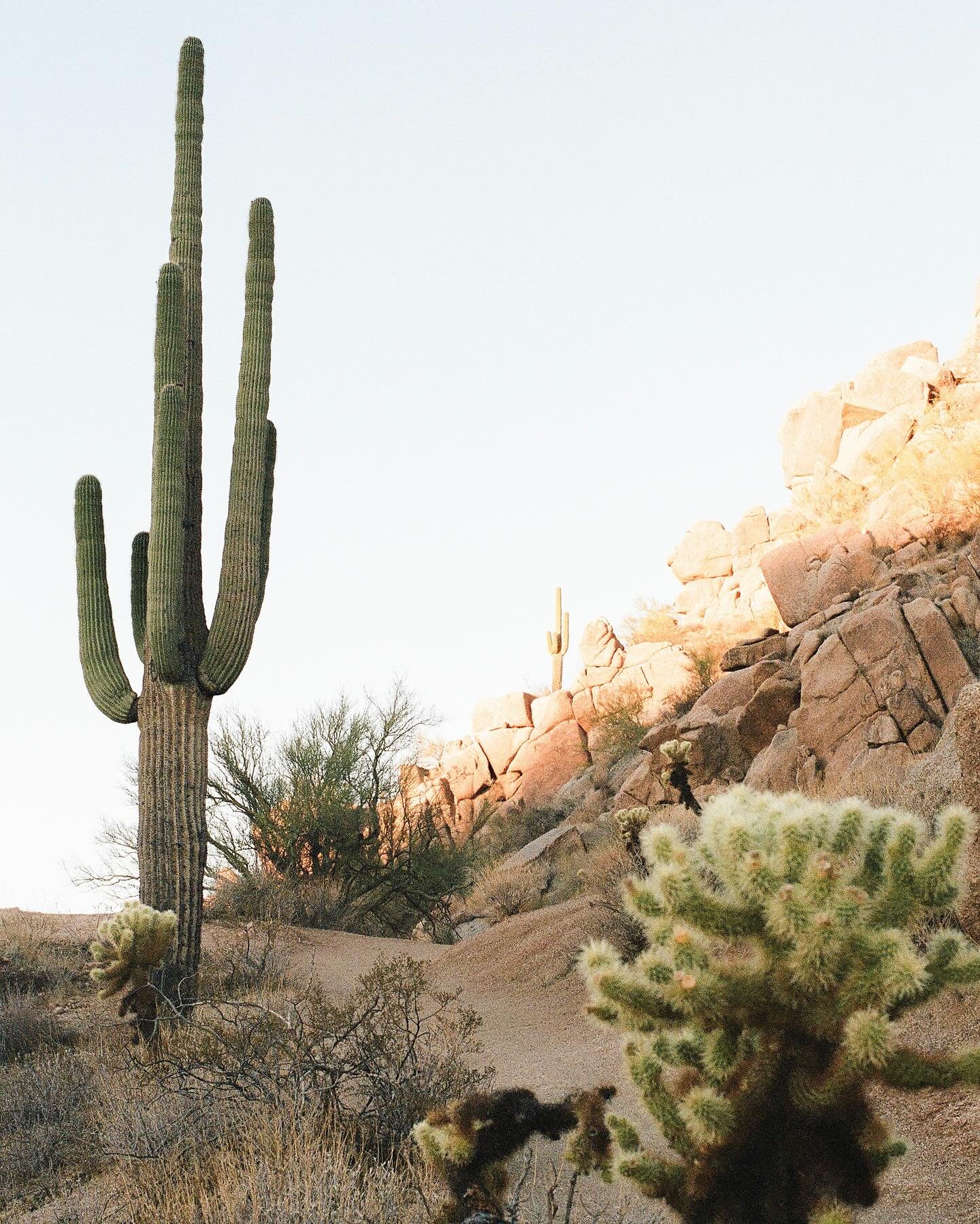 Personal archives from our time in Arizona last November. Weddings have taken us to some really beautiful places over the years. This was my first time in Scottsdale and I totally fell in love 🌵☀️