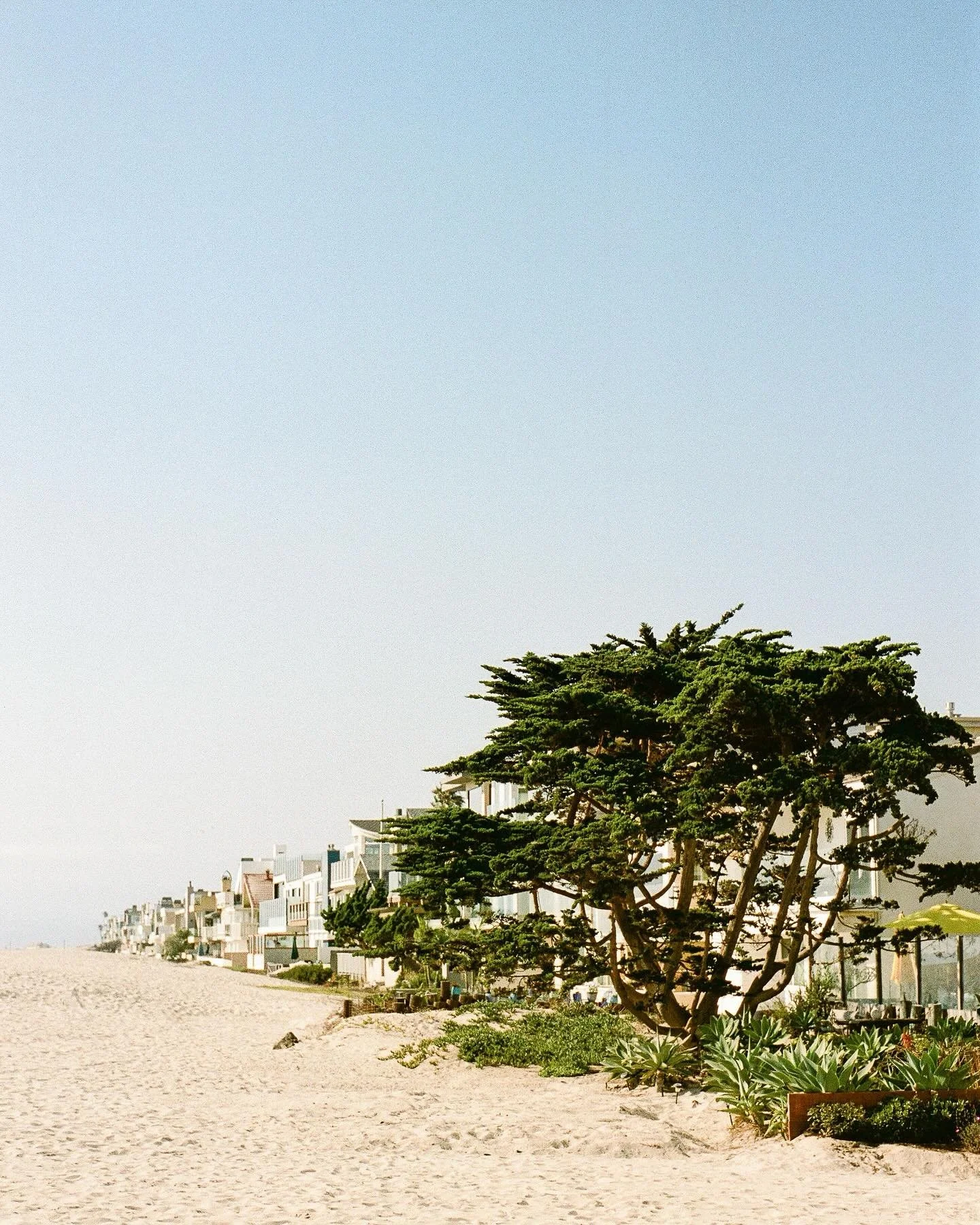 Back in August, Rachel &amp; Ethan came all the way from Australia to marry on the beach in California. They grew up on opposite sides of the world from each other; Ethan from in Northern California, Rachel from Western Australia. Crazily enough, the
