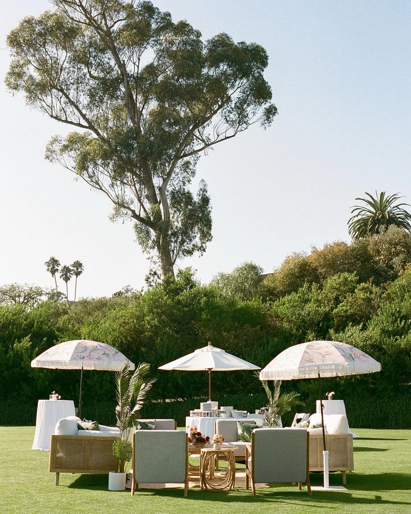 A little Aloha meets the California coast 🌴🌺

Venue: @montecitoclub 
Planning &amp; Design: @janealexandraevents 
Photography: @geoffandlyndsi 
Videography: @natalieweldon 
Florals: @figeventco 
Rentals: @archiverentals 
Lighting: @bellavistadesign