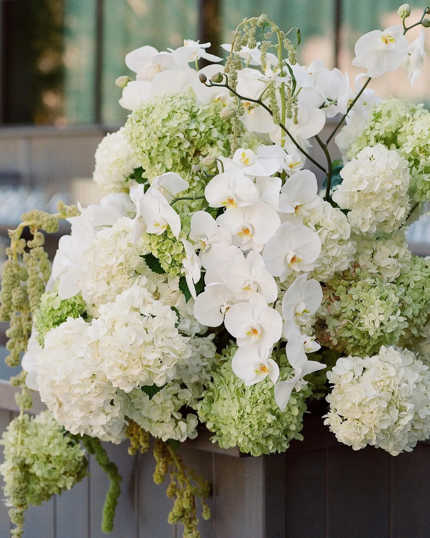 Details on film 🎞️🤎 and stunning florals by @ojalafloral for Haddie &amp; Rob at @ojaivalleyinn ✨