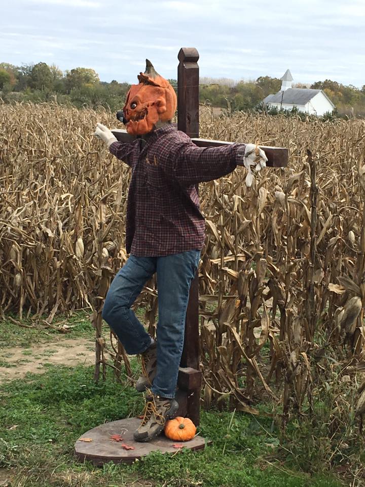 scarecrow.jpg