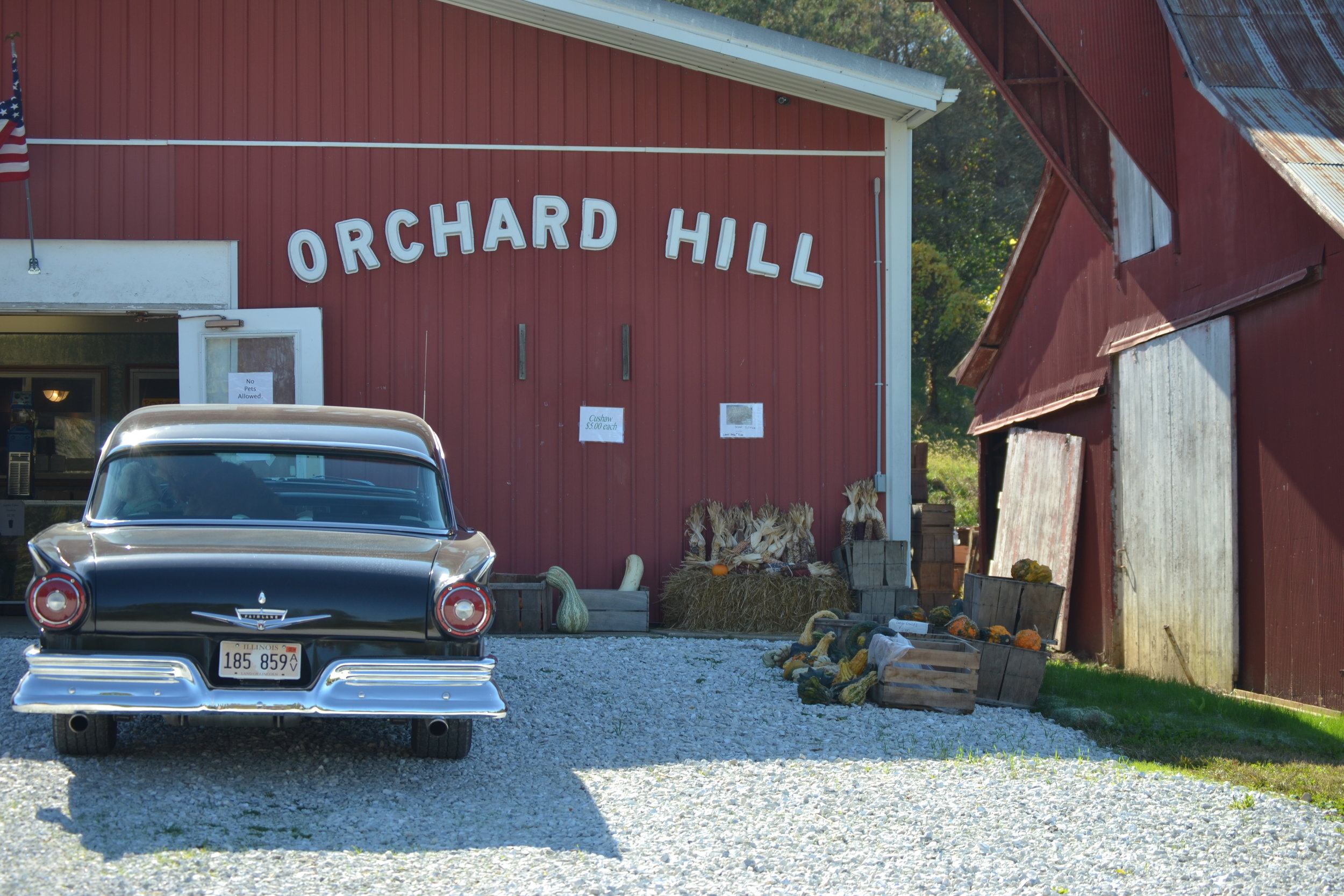 Pictures — Orchard Hill Farm