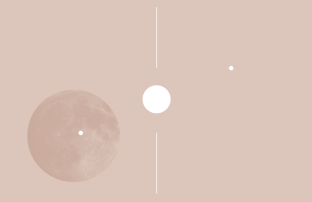 Untitled-1.gif