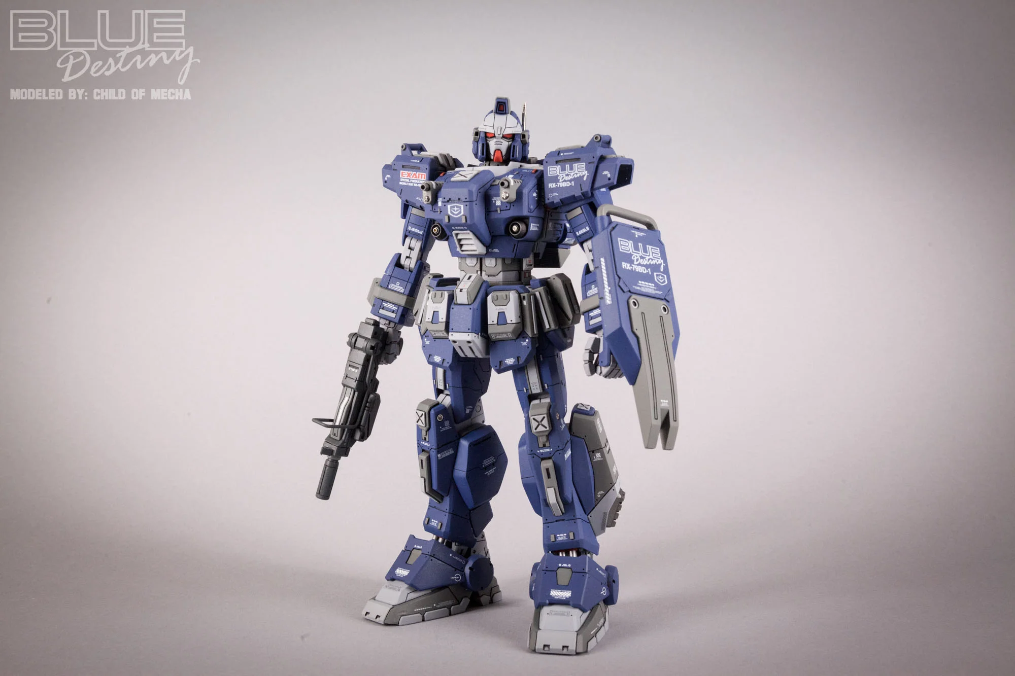 Blue Destiny Refurbished (4).jpg