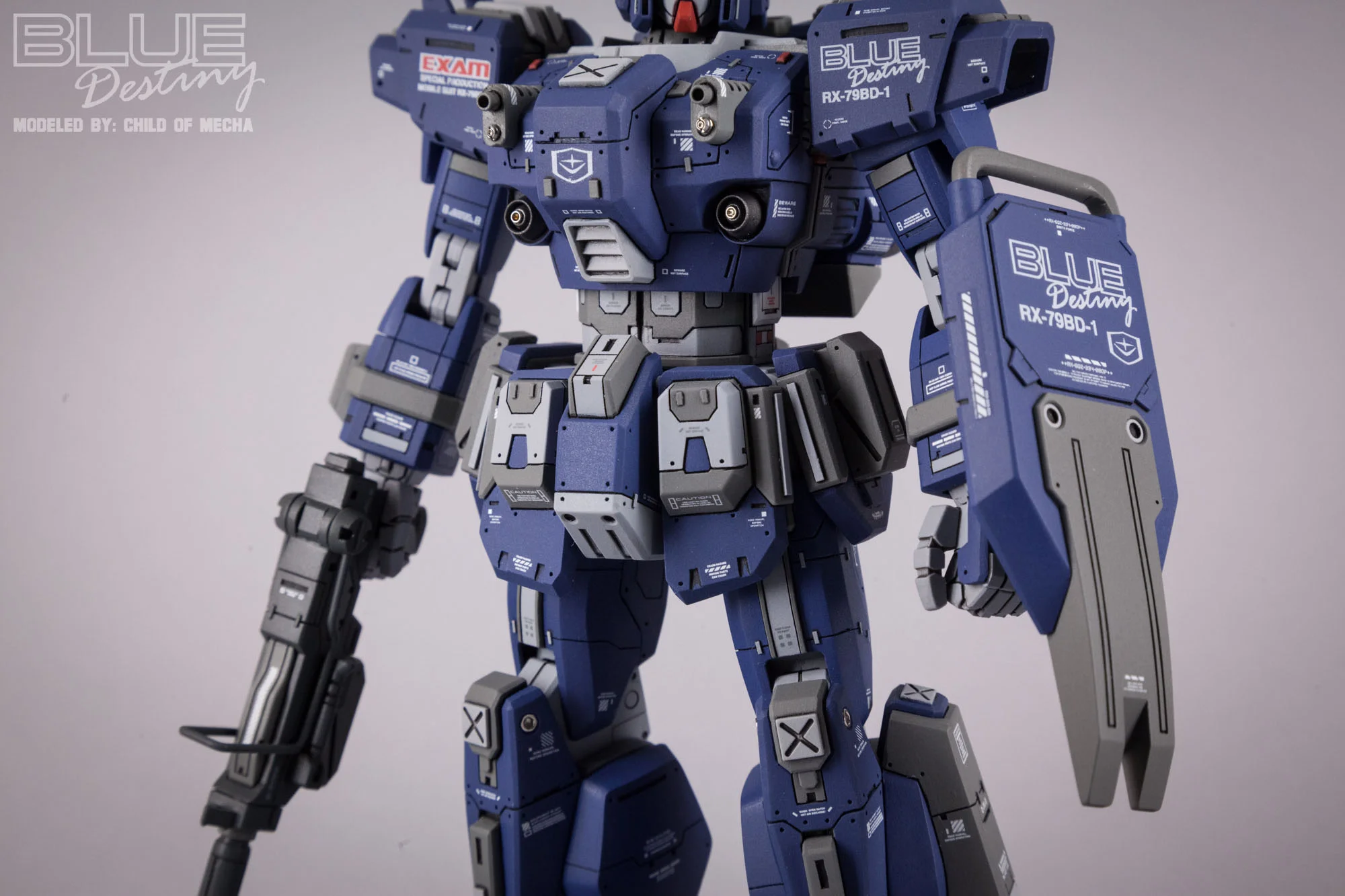 Blue Destiny Refurbished (5).jpg