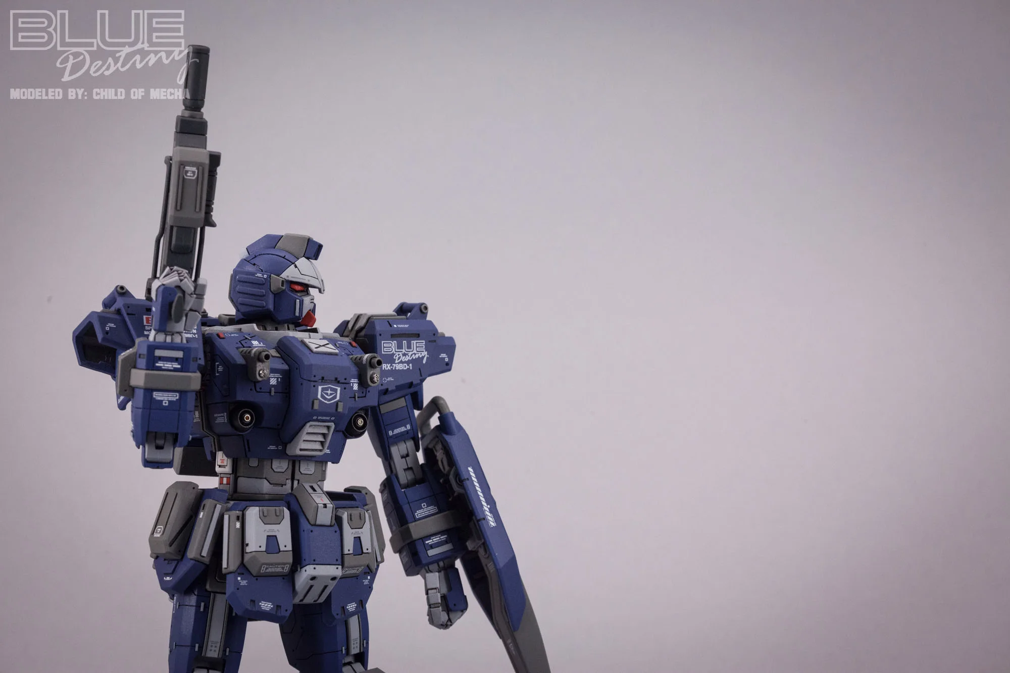 Blue Destiny Refurbished (28).jpg
